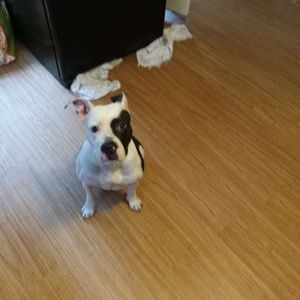 Meet your Posher, Terry